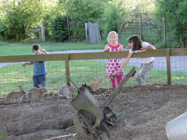 2011HWK 021.jpg